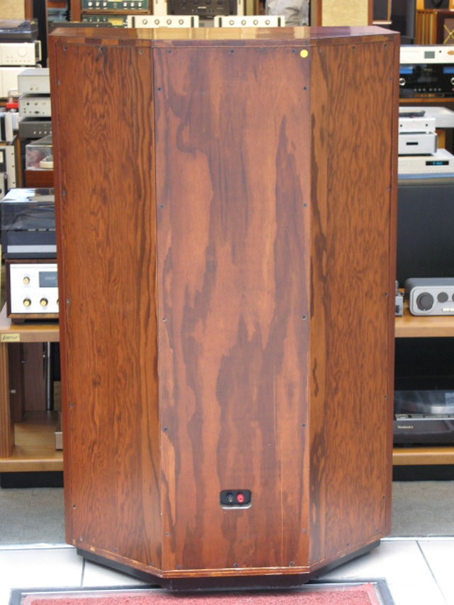 electrovoice georgian